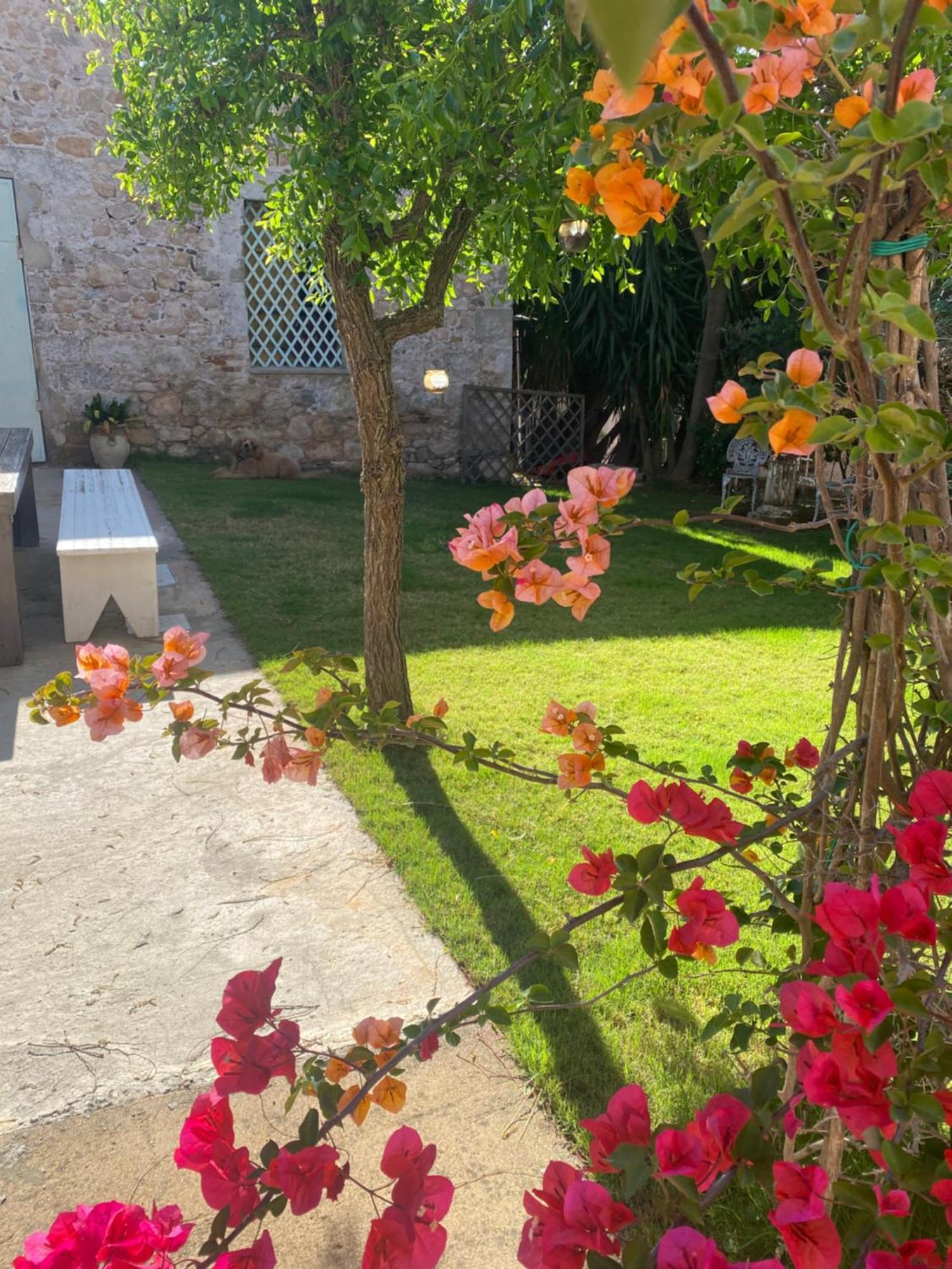 Corte Boero Bed&Breakfast Capoterra Bagian luar foto